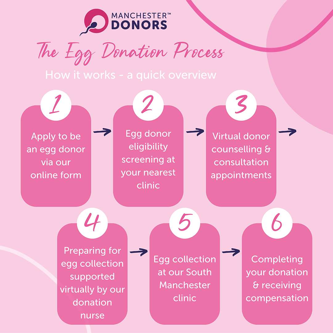 A quick step-by-step guide of how the egg donation process works.